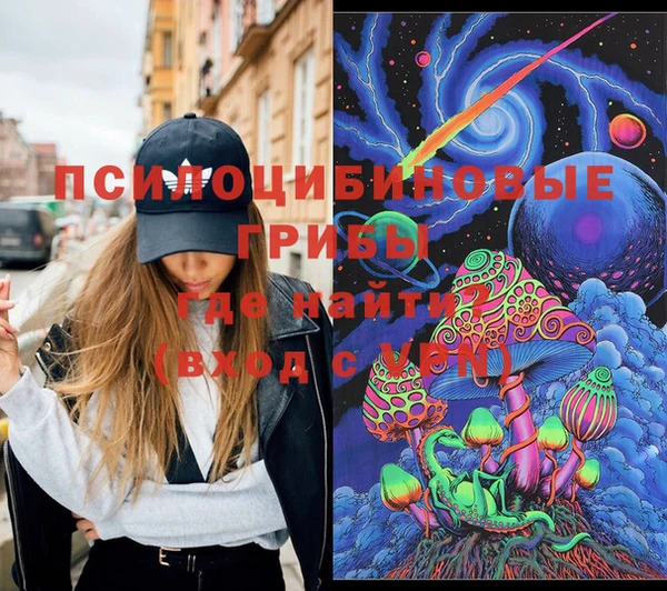 прущие грибы Белокуриха