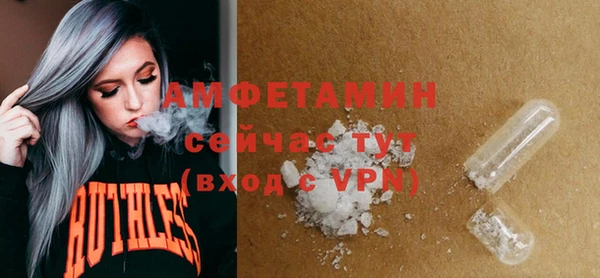 прущие грибы Белокуриха
