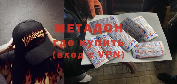 прущие грибы Белокуриха