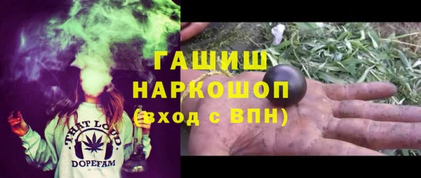 прущие грибы Белокуриха