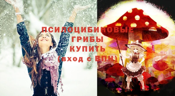 прущие грибы Белокуриха